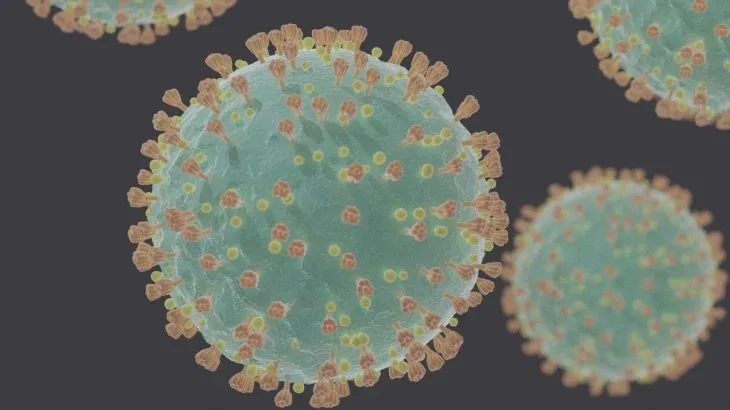 coronavirus-covid-19