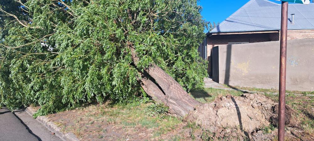 WhatsApp Image 2023-12-25 at 19.23.19