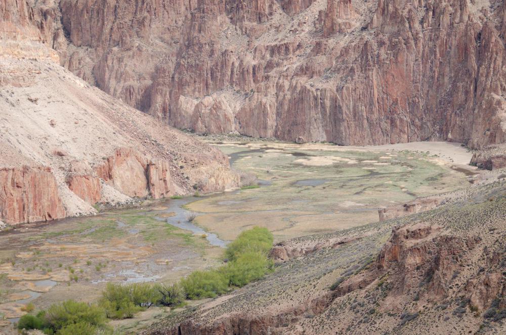 photo_5037293878935399738_w