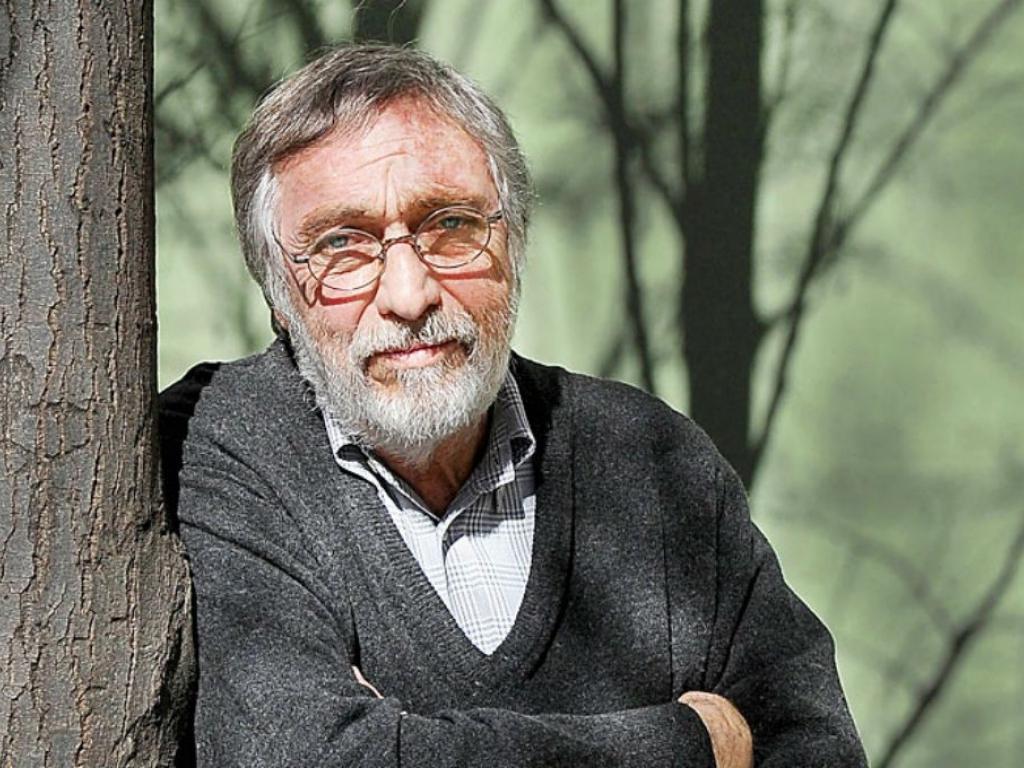 multimedia.normal.9ae892b60b48ecf1.4c756973204272616e646f6e695f6e6f726d616c2e6a7067