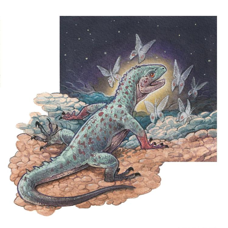 WhatsApp_Image_2024-05-30_at_11.02.56_3