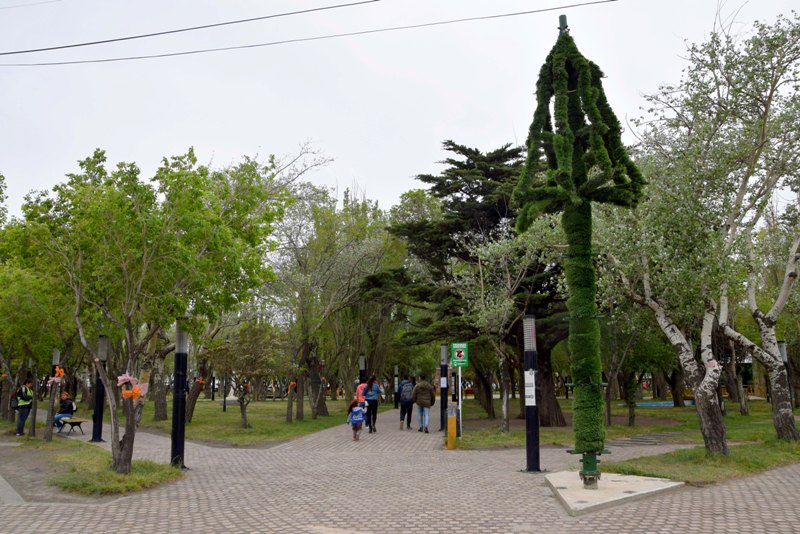 ORN_PREPARATIVOS ARBOL NAVIDAD_1