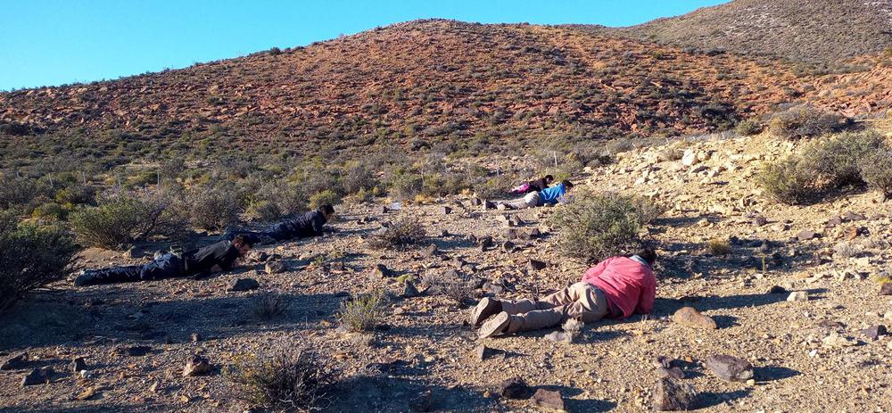 WhatsApp_Image_2024-05-30_at_11.02.56