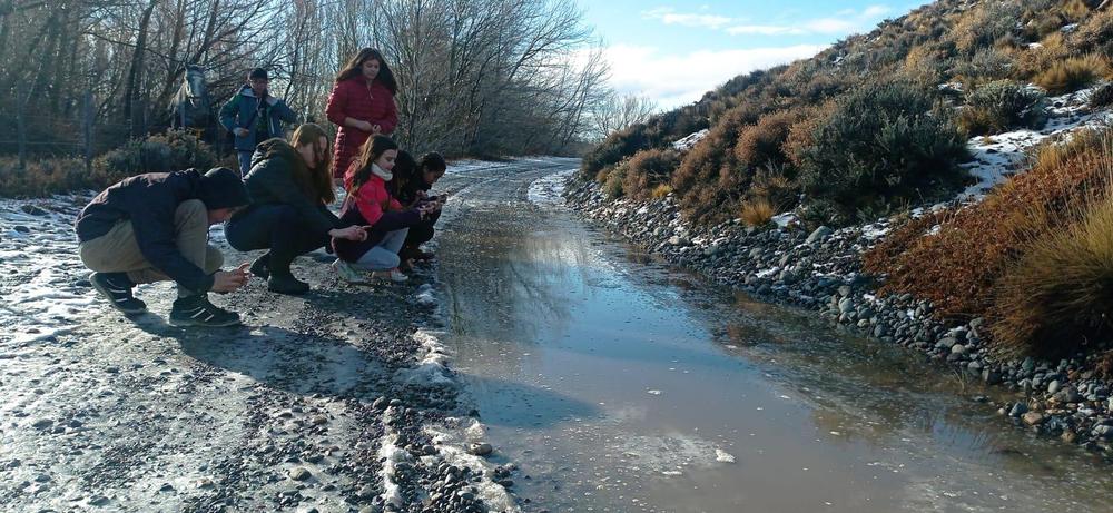ESTEPA INVERNAL 2