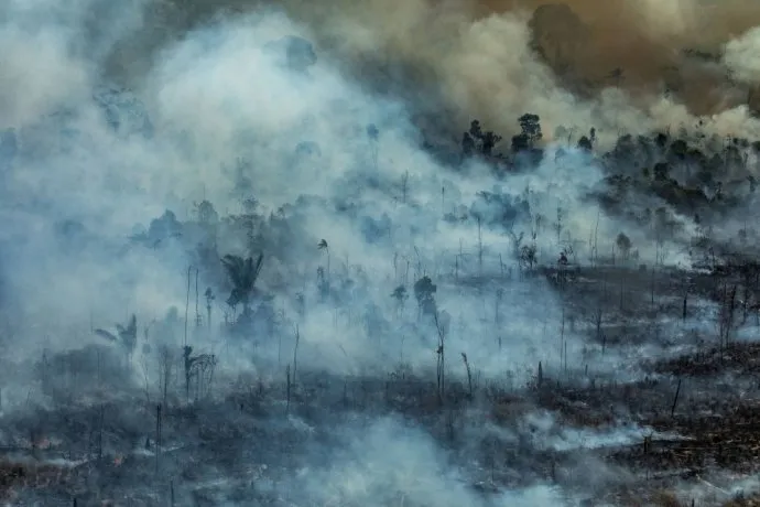 amazonas