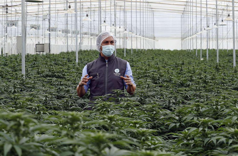 CPFR6XVWH5FMHA3DI66EGCXSYE