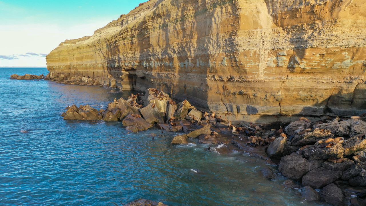 WhatsApp_Image_2022-05-06_at_2.29.35_PM