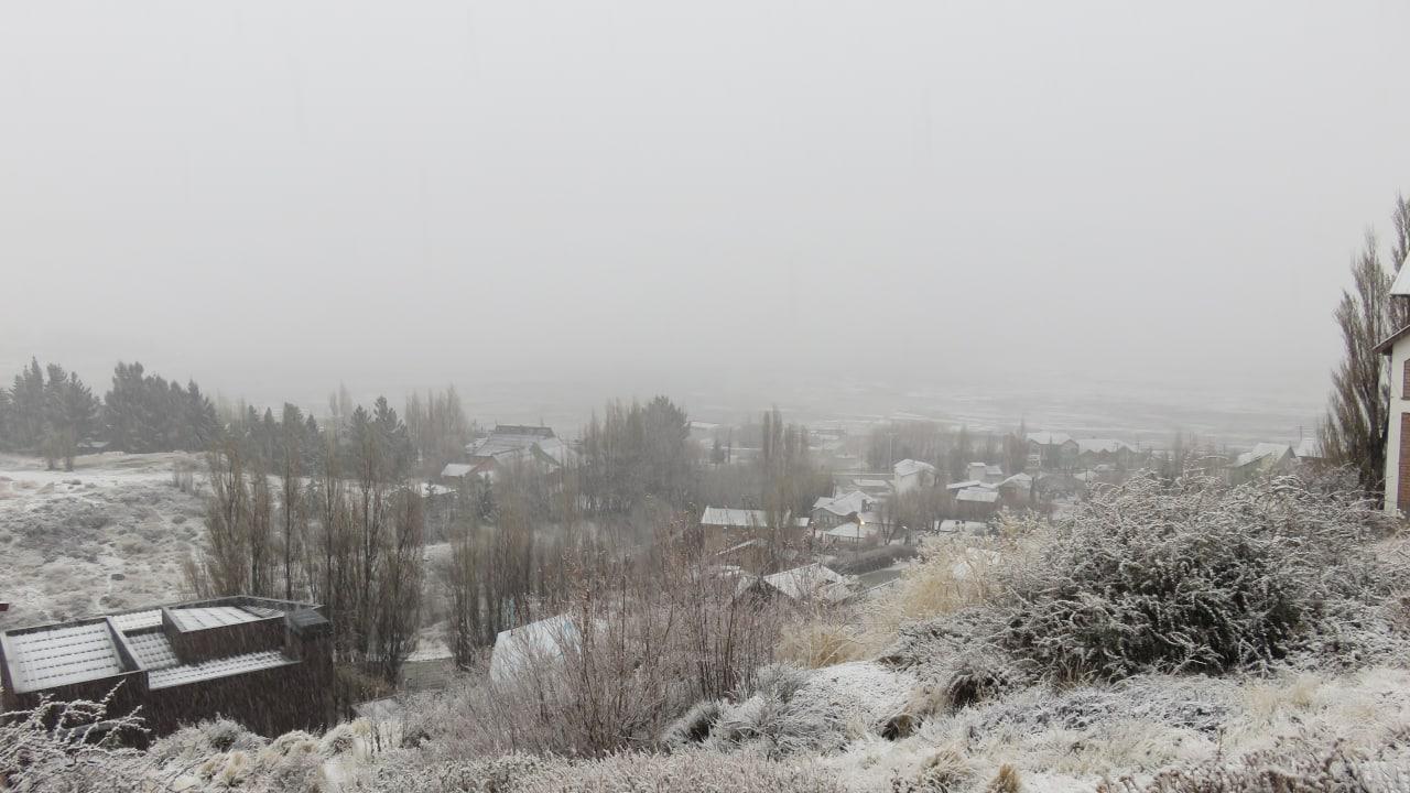 WhatsApp Image 2022-08-22 at 10.27.24 AM