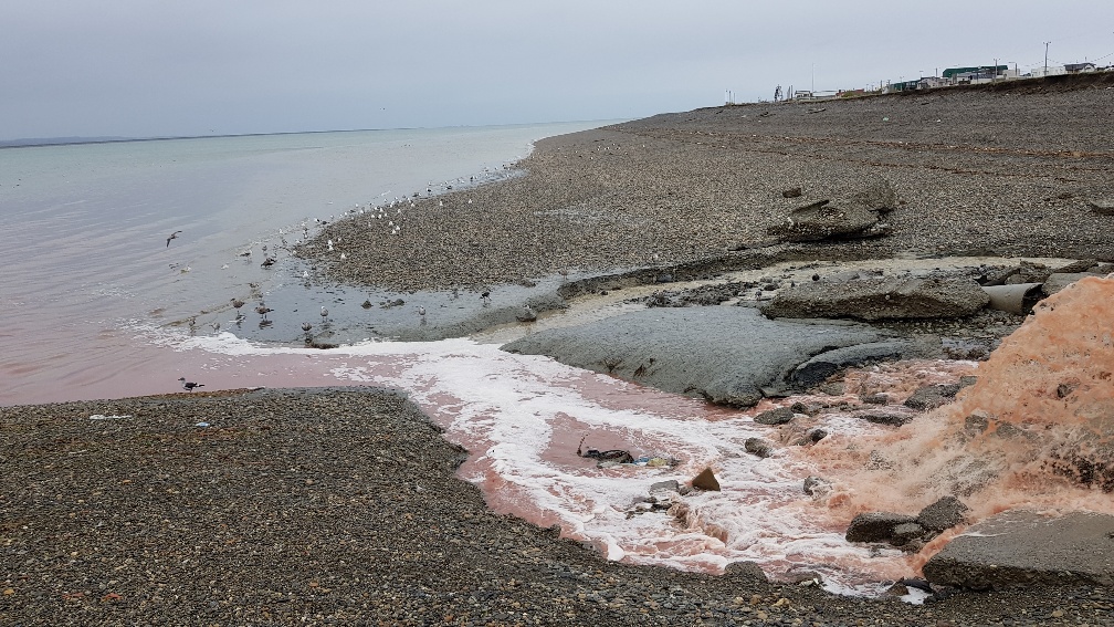 20190318_095012_resized