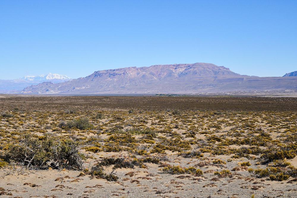 2023-03-24_-_Los_Antiguos_-_PN_Patagonia_14