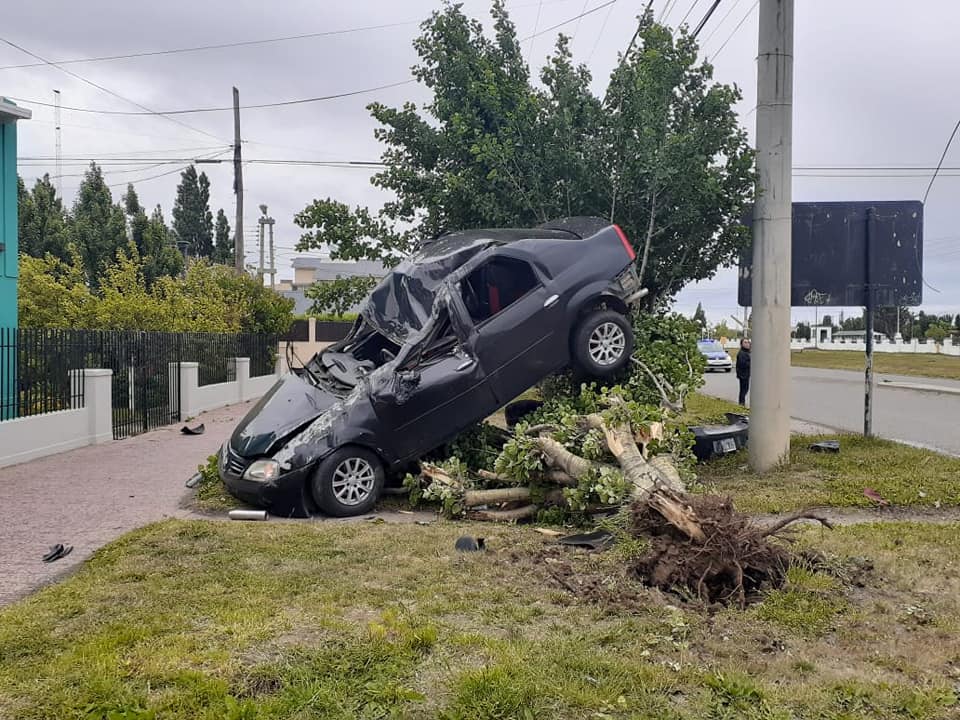 79368777_2836515066392709_1615818614319874048_n