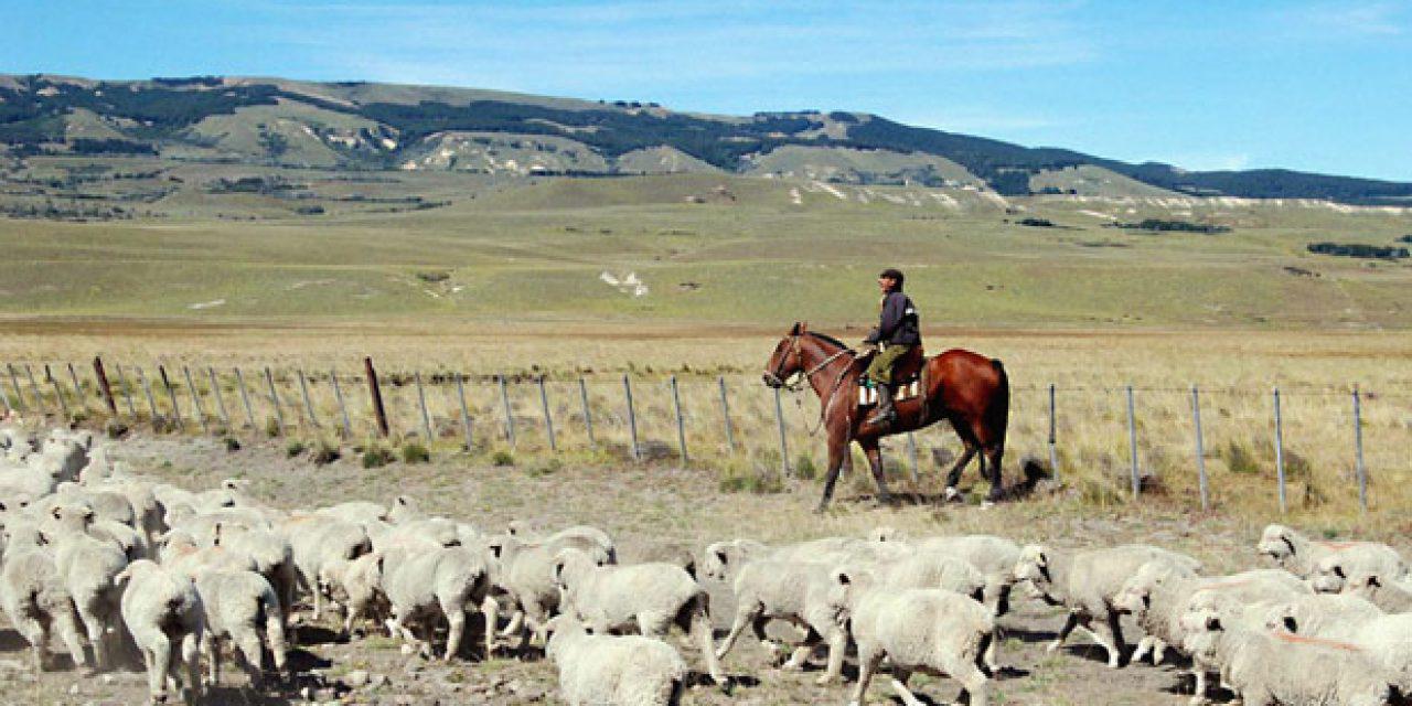 trabajador-rural-1280x640