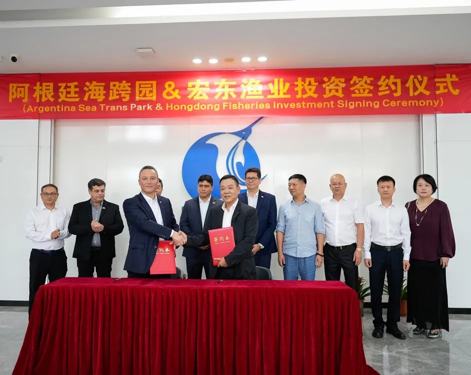 IMG-20241017-WA00772