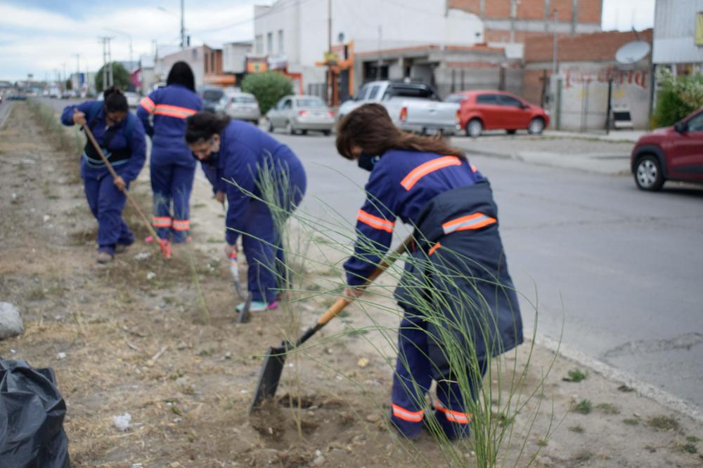SOP_ESPACIOS VERDES RIQUEZ_02_02 (3)