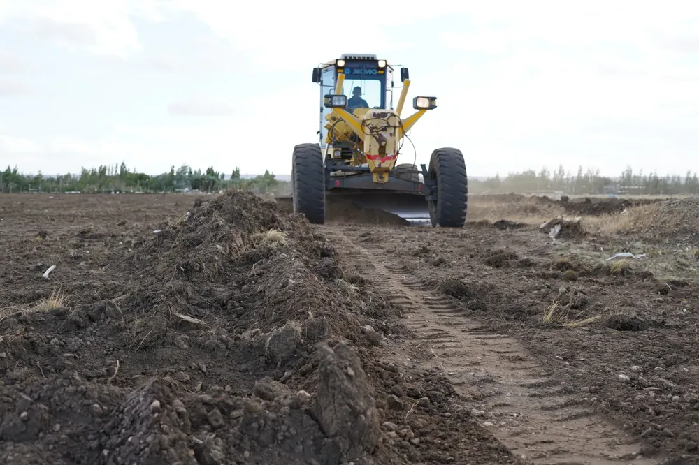 WhatsApp_Image_2025-03-11_at_08.14.41