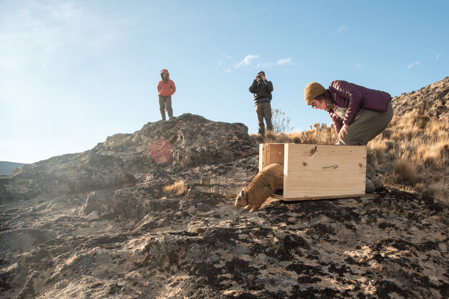 AAFF6CF5-0BB0-4FFE-9709-8A110EA8E24B