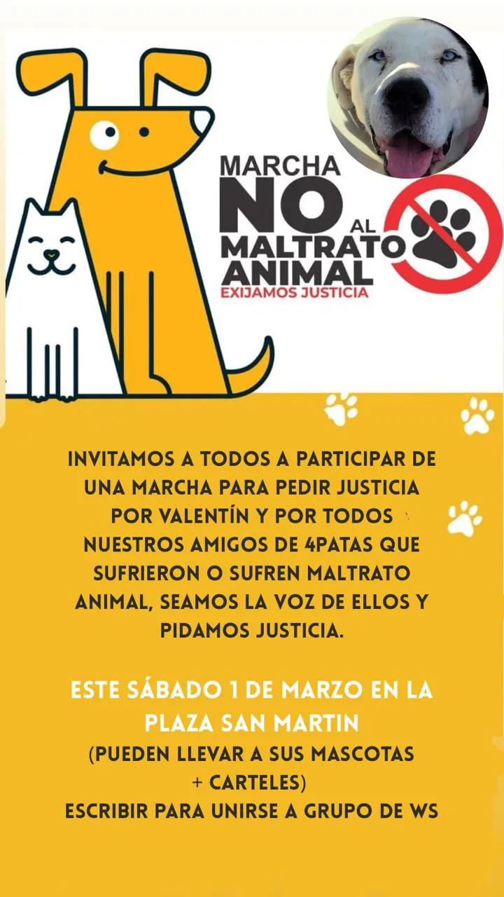 480884603_1340230057111067_4237501540571421934_n