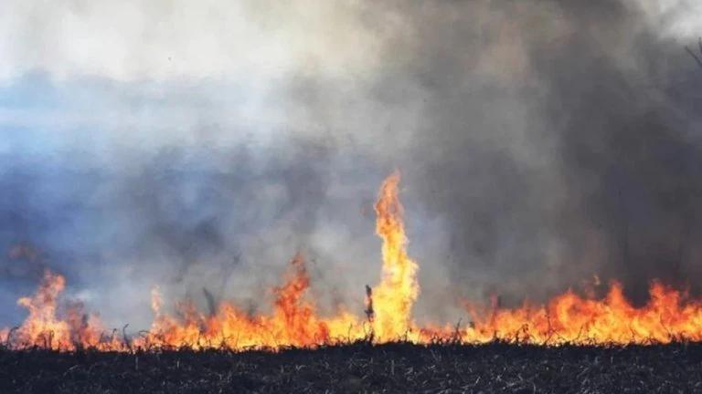 GXBIBERCG5DBFPS36IGELJQU3E