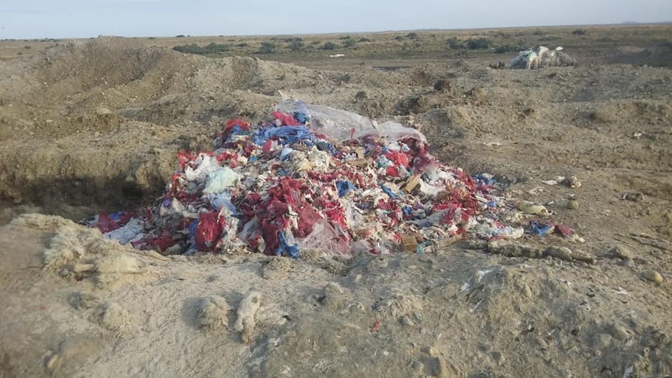 55491744_599607593836925_8647336881450647552_n