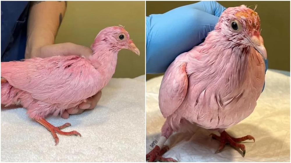 WhatsApp Image 2023-02-04 at 00.36.55