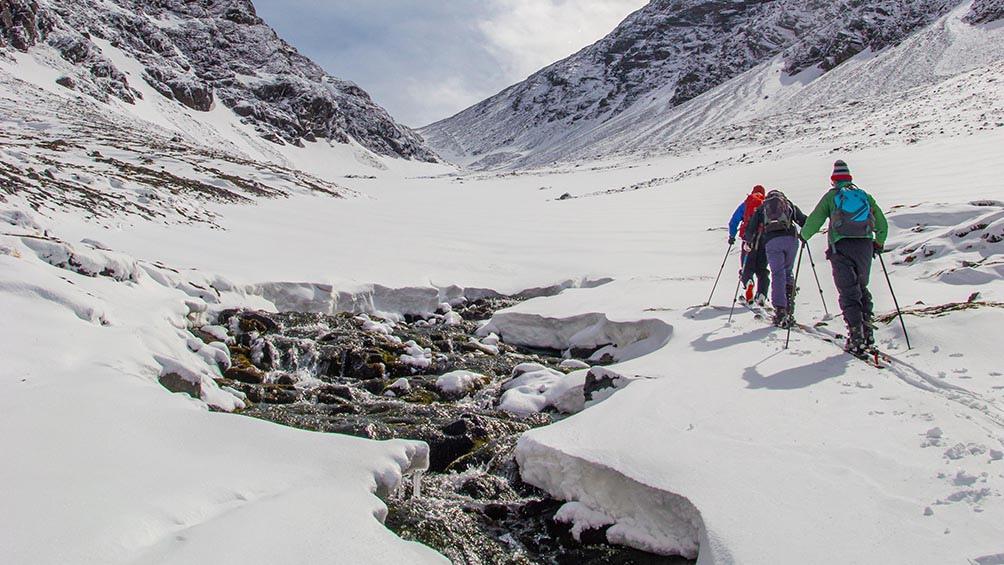 60df5d3bd71e3_1004x565