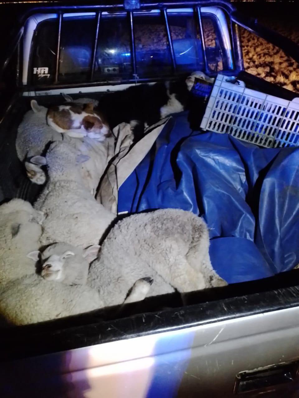 WhatsApp Image 2022-12-28 at 10.18.10