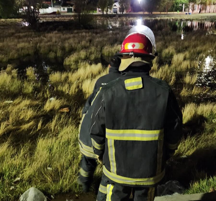 c1047617-d463-490a-89f3-6d67cec5a24c