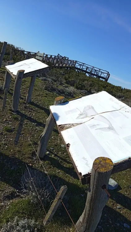 WhatsApp_Image_2024-10-14_at_12.23.25_PM_1