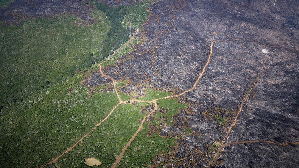 60203604c3d98_1004x565