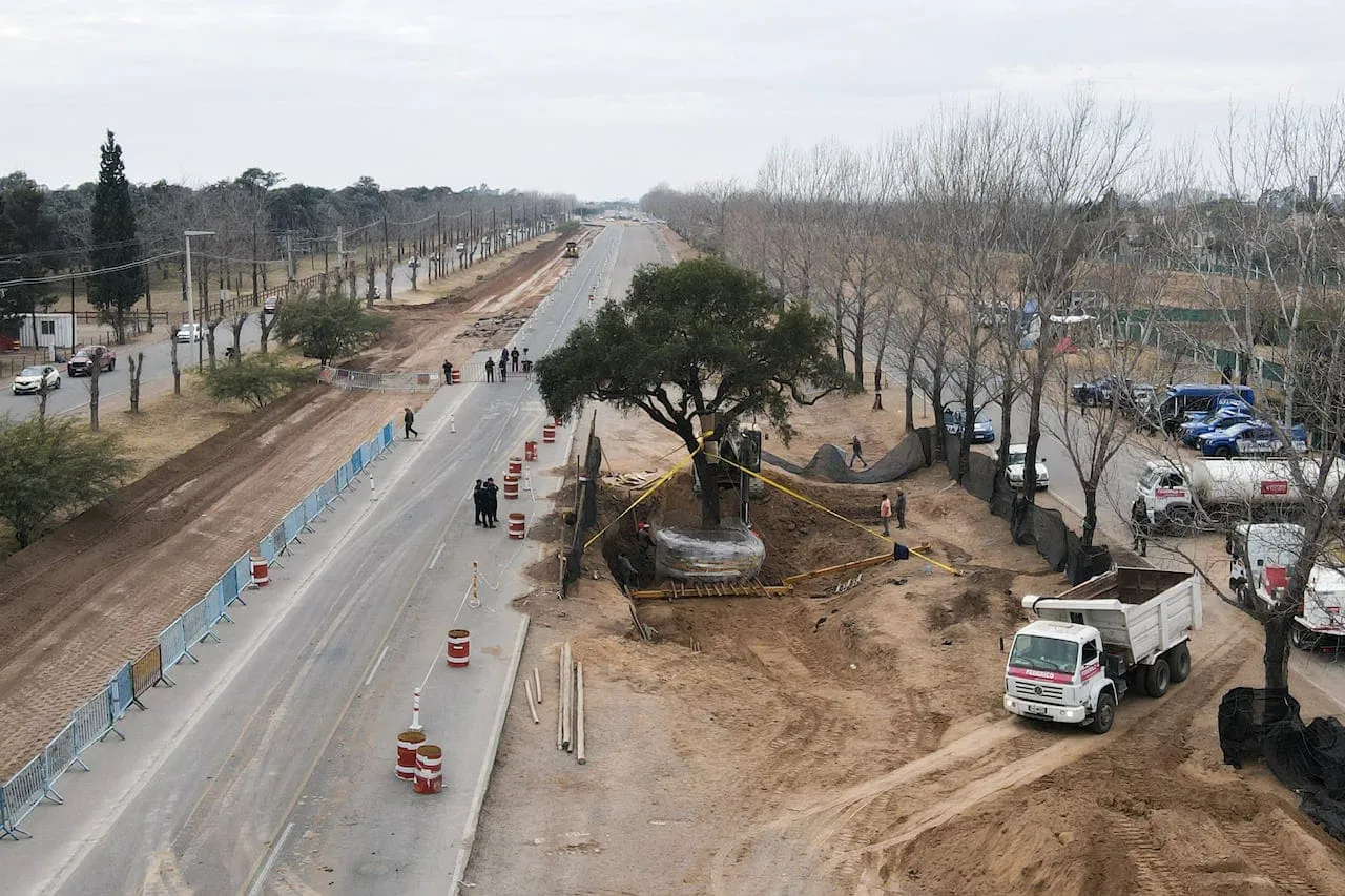 Imagen de WhatsApp 2025-07-14 a las 10.23.48_3d3ac051