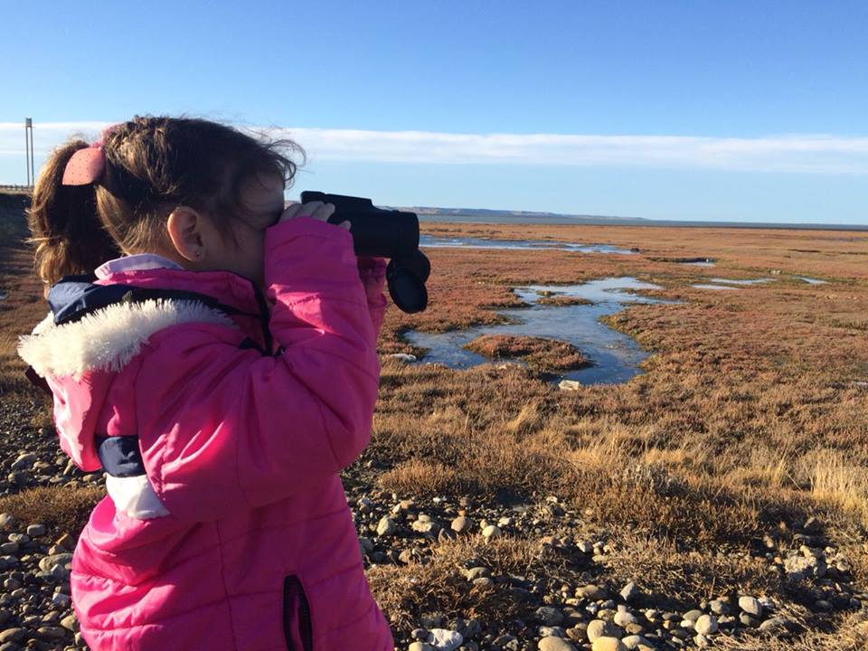 37002196_2319197814787668_3155269737999499264_n