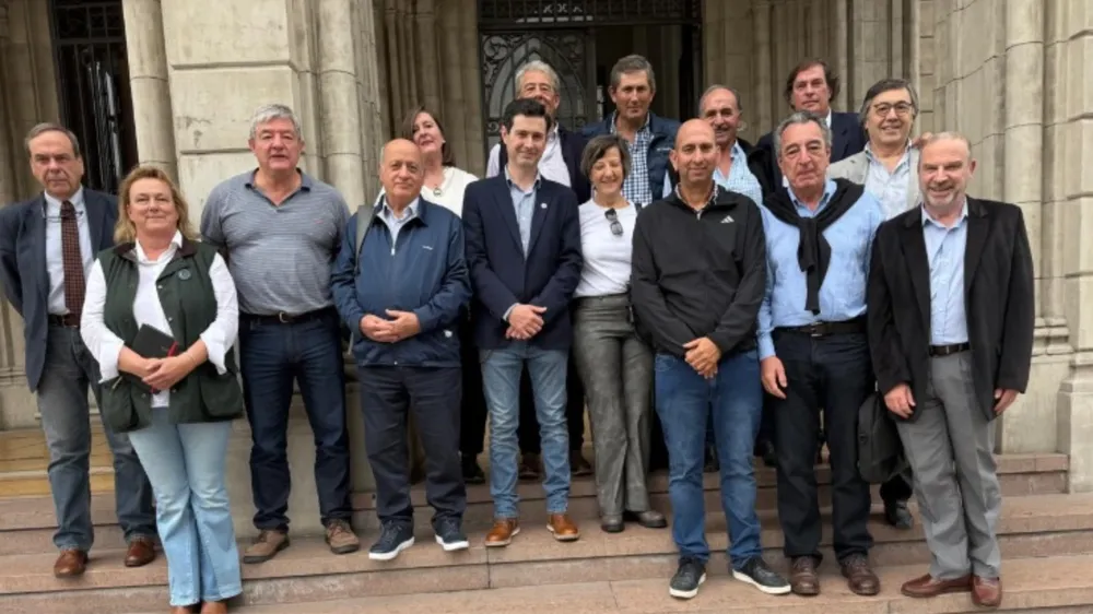 webvero - 2025-06-11T153123.851