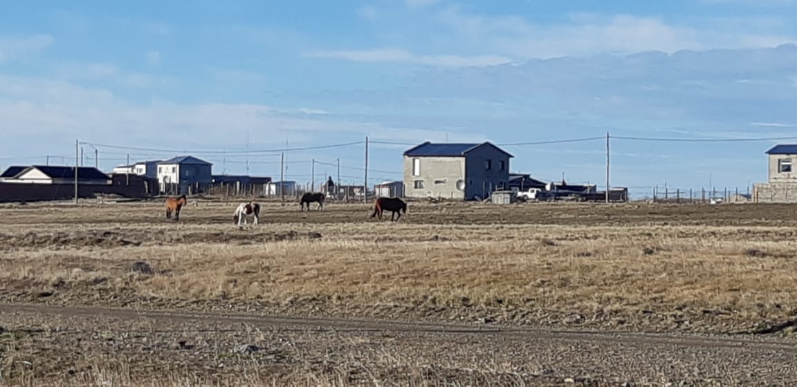 multimedia.normal.a20b5c5cc3a78448.494d472d32303139303532392d5741303031315f6e6f726d616c2e6a7067