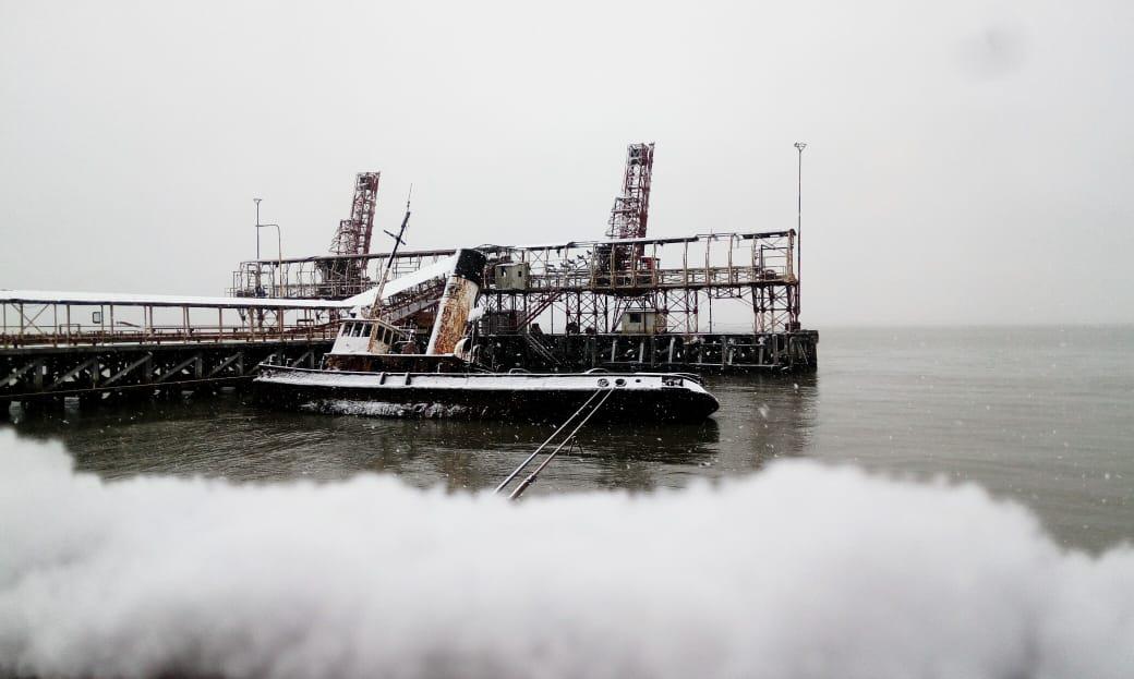 NEVADA GALLEGOS JUNIO