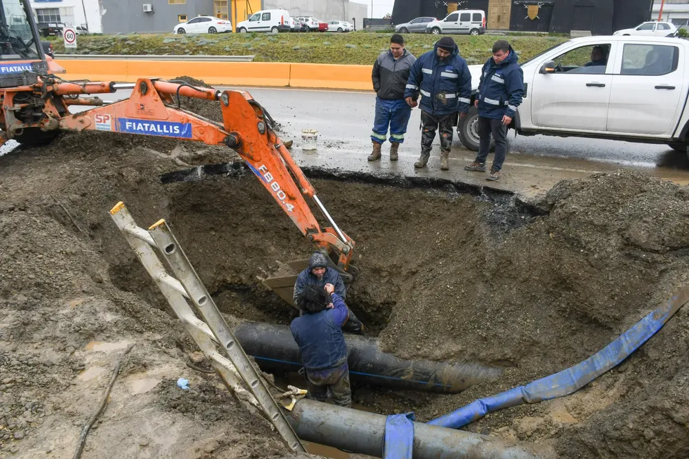 WhatsApp_Image_2024-11-11_at_13.19.34_3