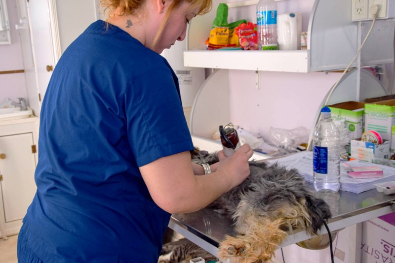 BAN_CASTRAMOVIL_BARRIO EL FARO_ (1)