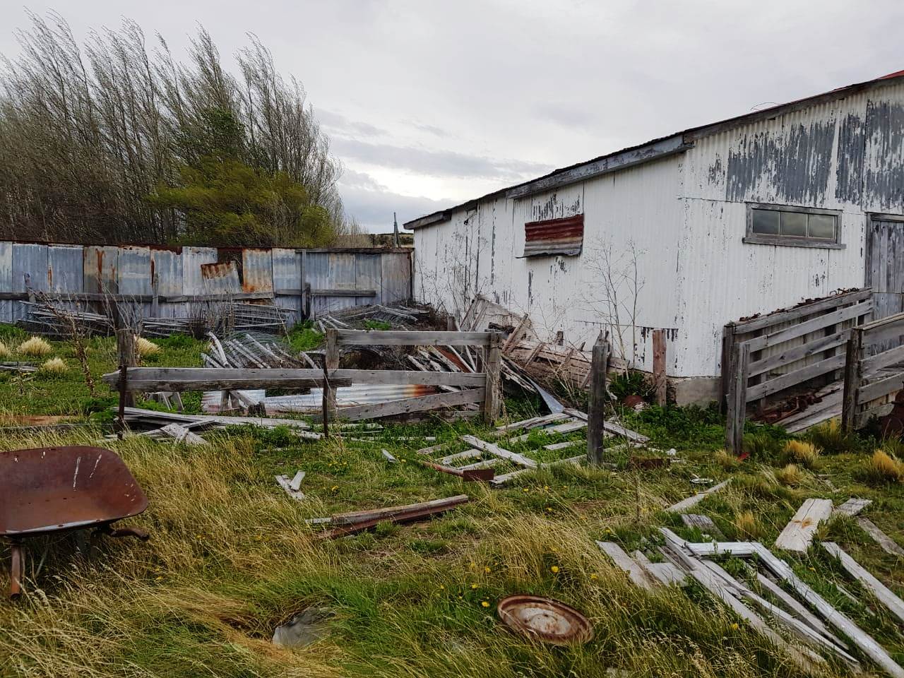 multimedia.normal.89e65c2bdd865bc9.494d472d32303138313130392d5741303032325f6e6f726d616c2e6a7067