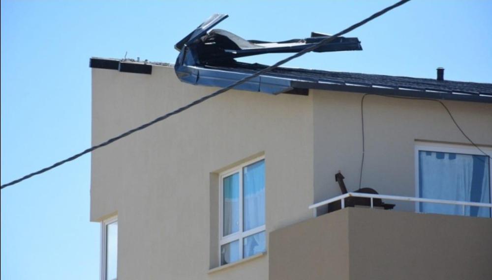 WhatsApp Image 2021-11-16 at 6.25.58 PM