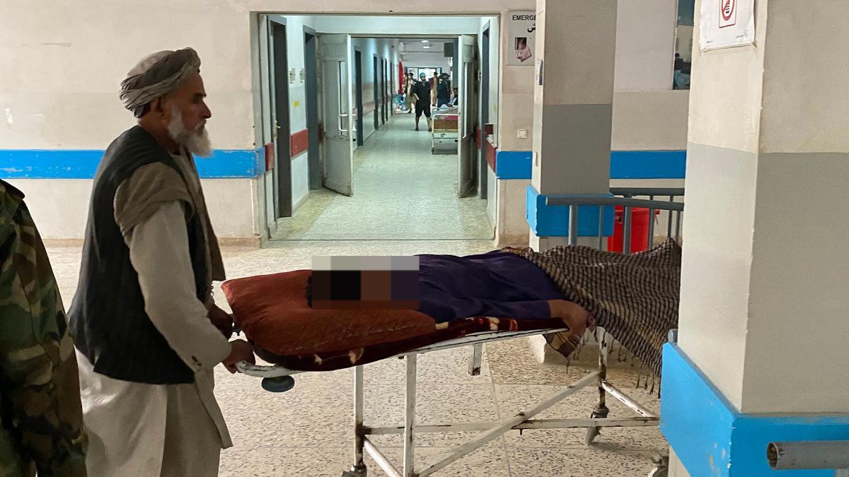 WhatsApp Image 2023-03-09 at 17.11.15