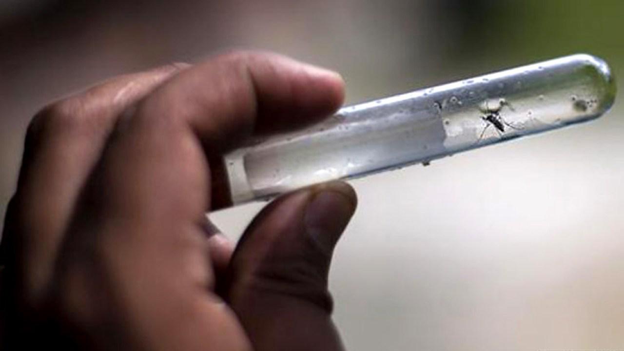 dengue-jujuy-registro-mas-de-400-nuevos-casos-en-los-ultimos-tres-dias