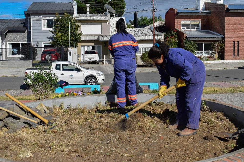 SOP_PLANTACION PLANTINES ROTARY_25_02