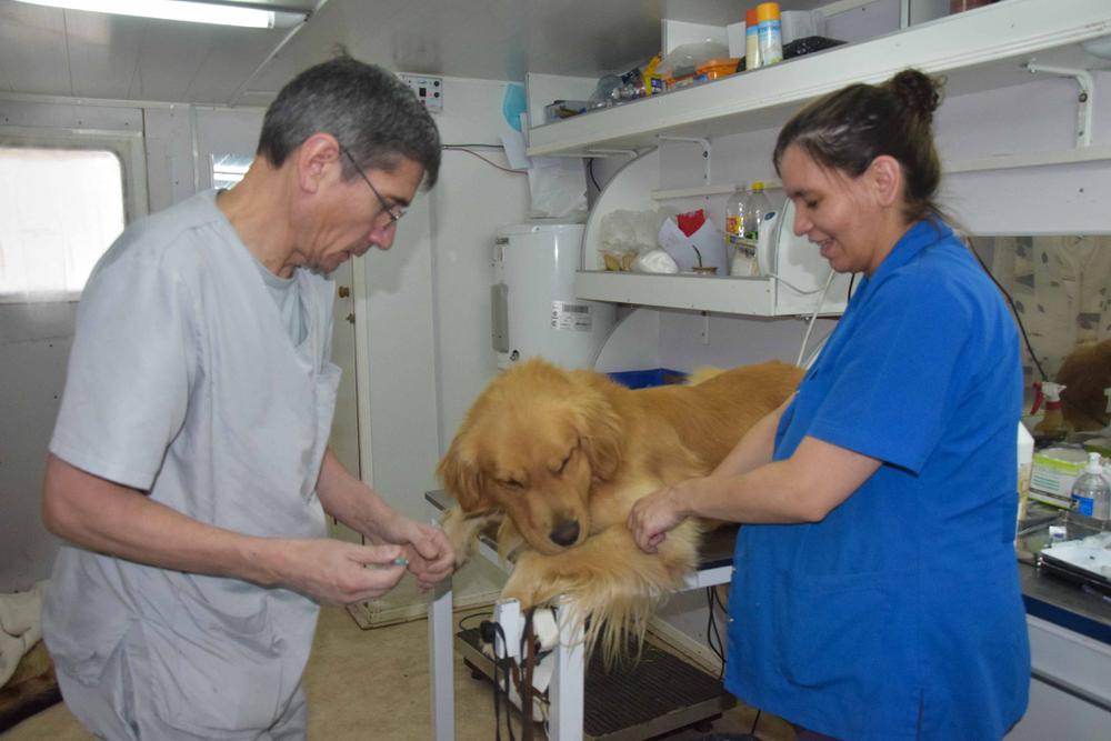 operativo lola-6