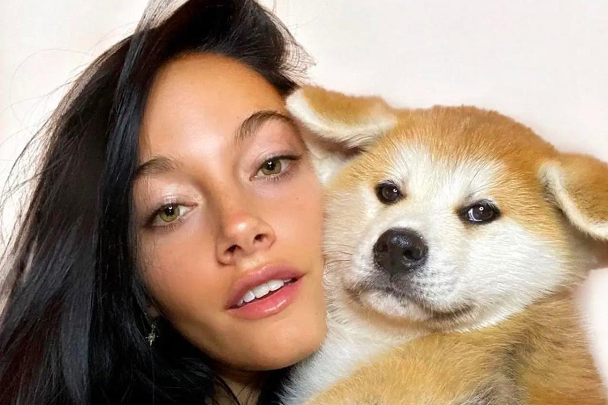 26874a4851e661783ca6523690dbeee6