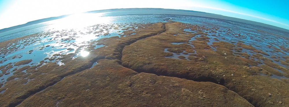 11 años. El estuario del río Gallegos es uno de los humedales urbanos protegidos por la ordenanza Nº 6762 sancionada en 2009 (Foto aérea)