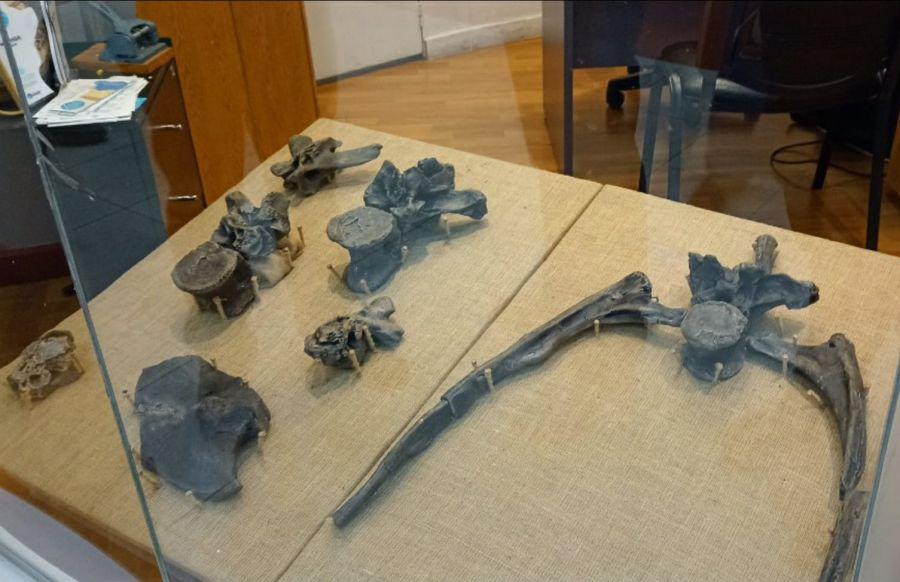 1d4c5bcc54c3e6e493885938ba603cf7_XL