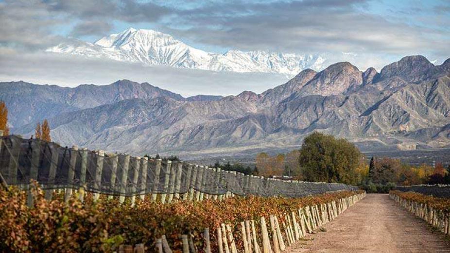 vinedos-LASCOMPUERTAS