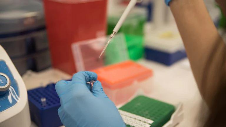 5ZZKUABPXBBGDCIKGT6VNKT2SE