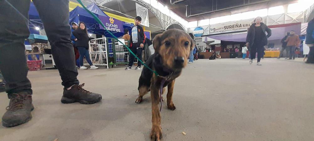 WhatsApp Image 2024-04-27 at 3_58_09 PM (1)