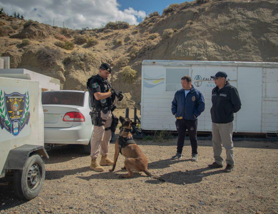 2ded634932df5e9a5226aaf240257da3_XL