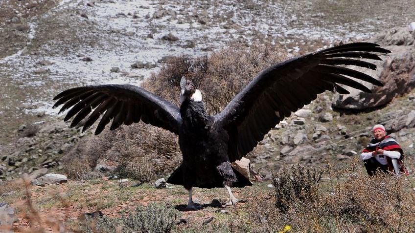 f848x477-1502213_1560016_5050